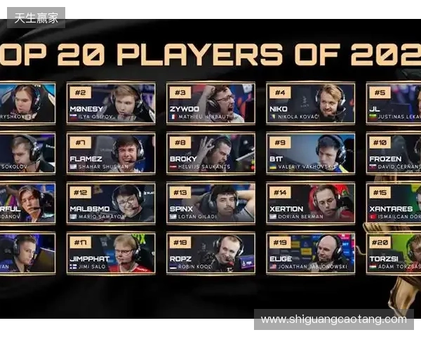 HLTV 2025年度最佳选手TOP12：mezii