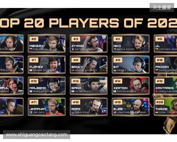 HLTV 2025年度最佳选手TOP12：mezii