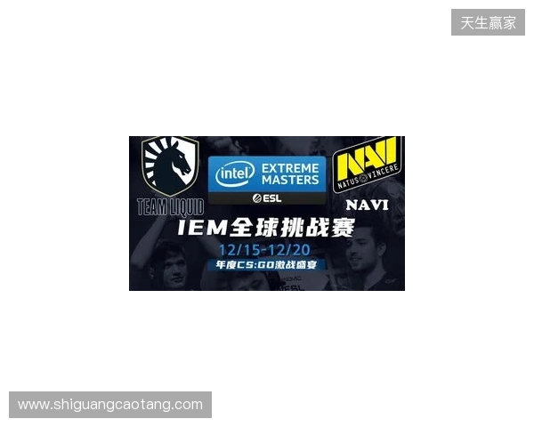 IEM克拉科夫2026：学院派的对决！NAVI 2-1 PV