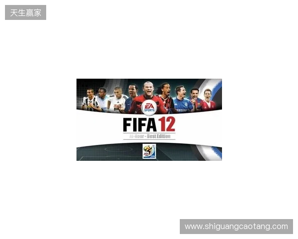 Netflix将与FIFA合作推出全新足球模拟游戏