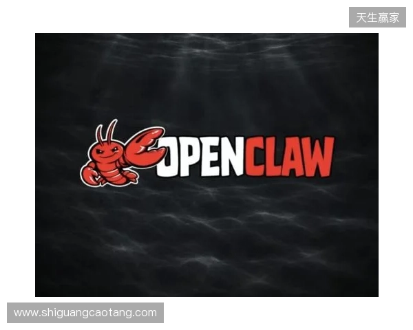 告别小龙虾部署难题!让openclaw落地零门槛,724claw永动虾上线 告别小龙虾部署难题!让openclaw落地零门槛,724claw永动虾上线