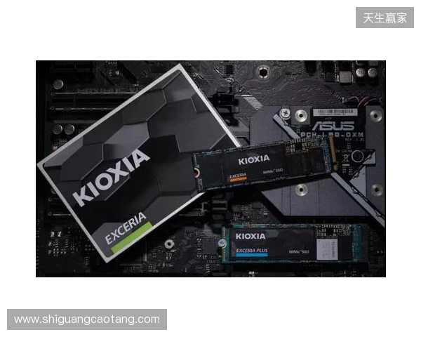 读写打穿天花板,再战五年不是梦!铠侠VE10固态上手体验 读写打穿天花板,再战五年不是梦!铠侠VE10固态上手体验